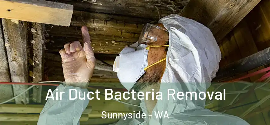  Air Duct Bacteria Removal Sunnyside - WA