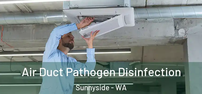  Air Duct Pathogen Disinfection Sunnyside - WA