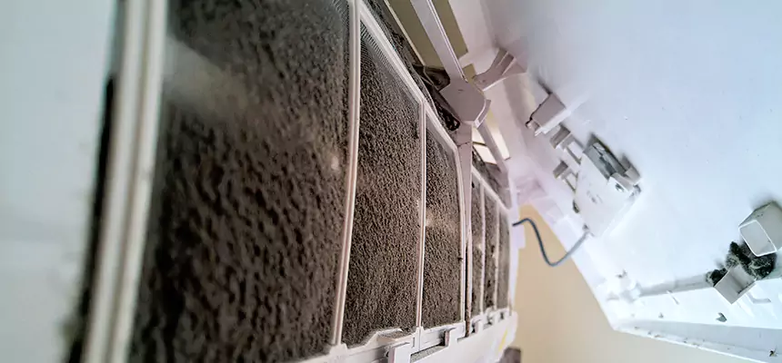 Preventive Air Duct Bacteria Removal in Sunnyside