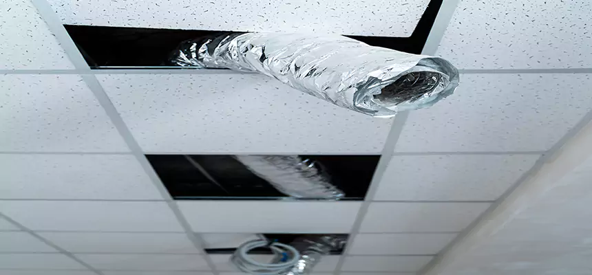 Affordable HVAC Sanitizing After Pest Removal in Sunnyside