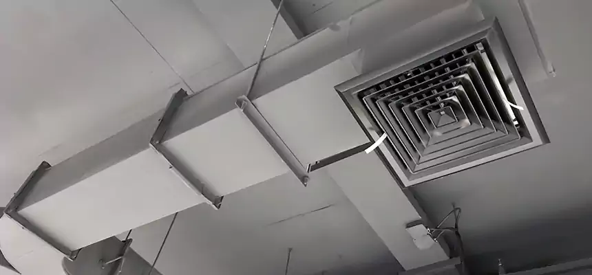 Restorative Allergy Relief Vent Cleaning – Coil, Blower & Housing Detail in Sunnyside