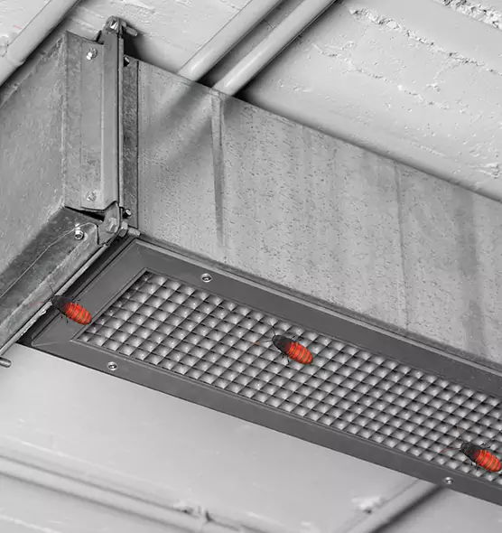 About Air Duct Cockroach Removal in Sunnyside, WA