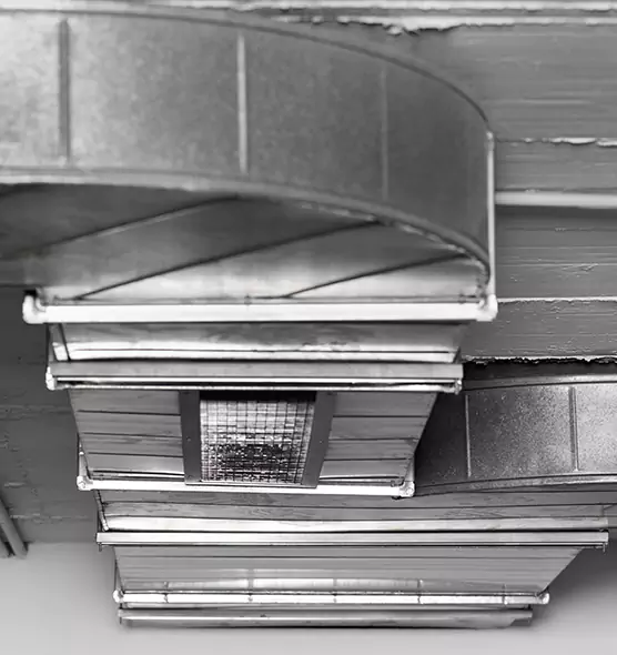 Professional Air Duct Pest Removal in Sunnyside, WA