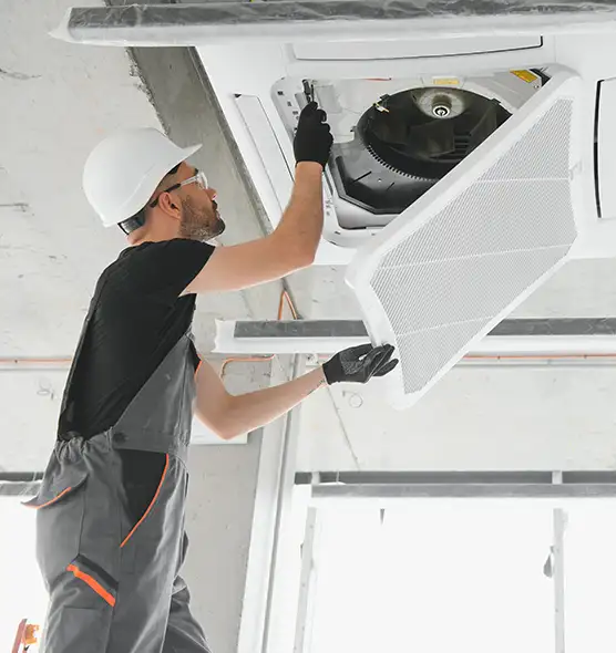 About Air Duct Rodent Removal in Sunnyside, WA